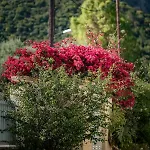 Panormos Serene Nests - Gateways To Achaia Апартаменты *