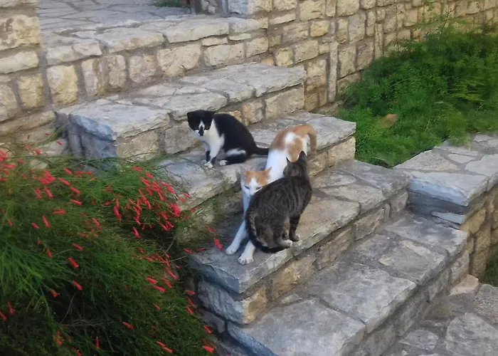 Panormos Serene Nests - Gateways To Achaia Apartmán *