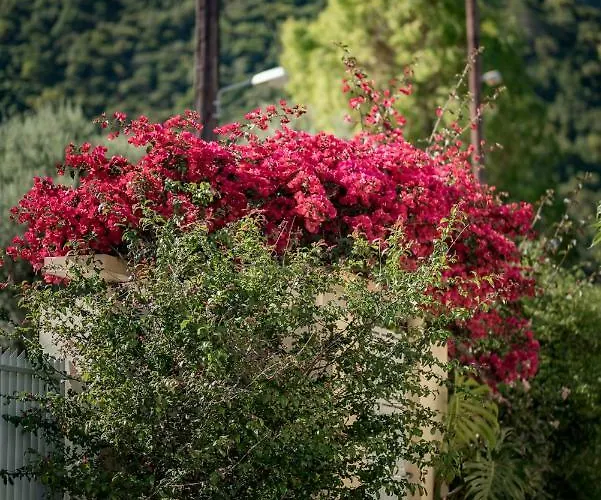 Panormos Serene Nests - Gateways To Achaia Apartmán *